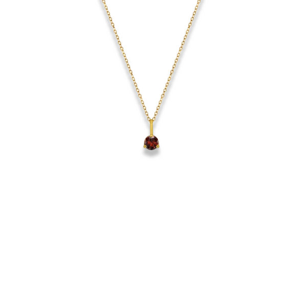 Birthstone Necklace