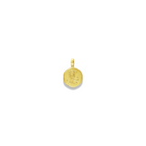 New Small Zodiac Pendant
