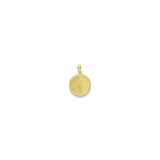 New Small Zodiac Pendant